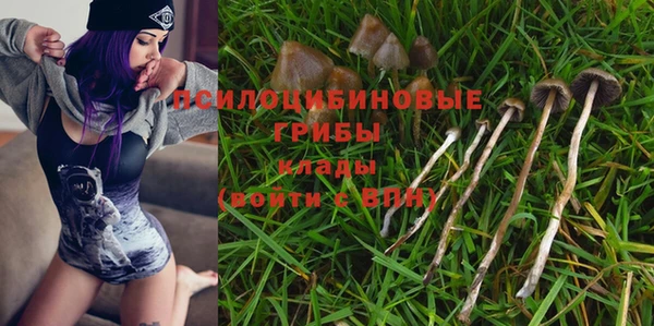 индика Арсеньев