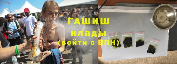 индика Арсеньев