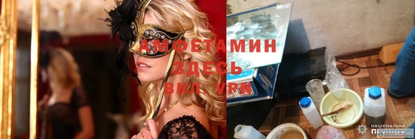 индика Арсеньев