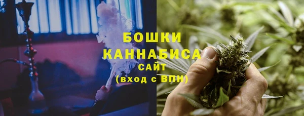 молекула духа Новодвинск