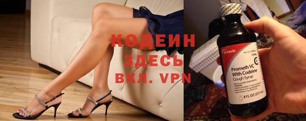 индика Арсеньев
