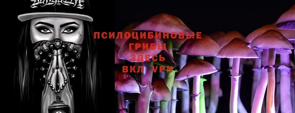 ешки Аркадак