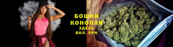 ешки Аркадак