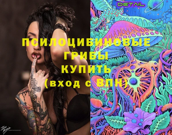 ешки Аркадак