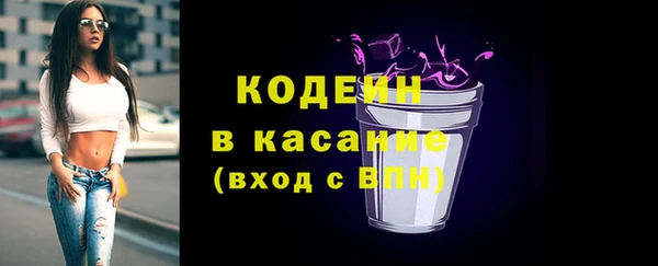 индика Арсеньев