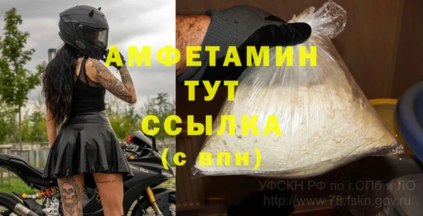 индика Арсеньев