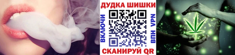 Бошки марихуана индика  Трубчевск 